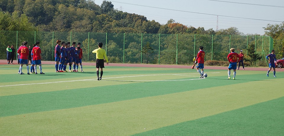 2015년 생활체육 장년부